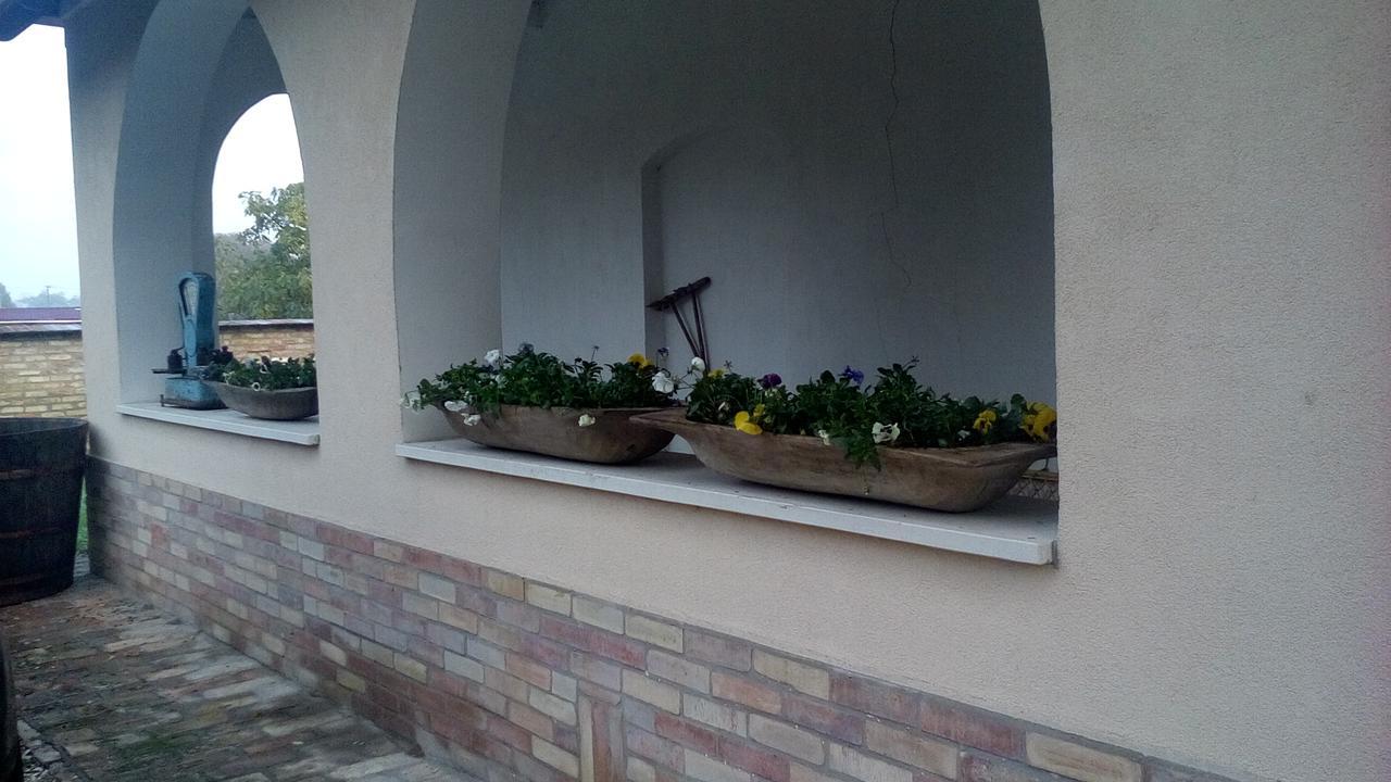 Resort La Tulipe Noire Cegledbercel Bagian luar foto