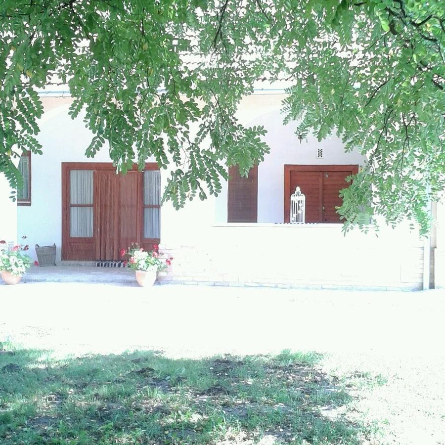 Resort La Tulipe Noire Cegledbercel Bagian luar foto